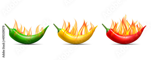 Spicy level. Set of hot flaming chili pepper pods.