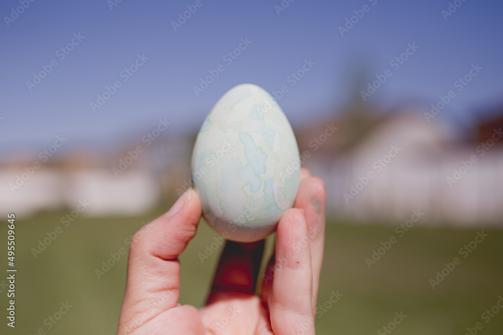 Fototapeta premium Easter egg dying in back yard. Sweet child coloring and painting eggs for Easter in garden, outdoors at home in backyard