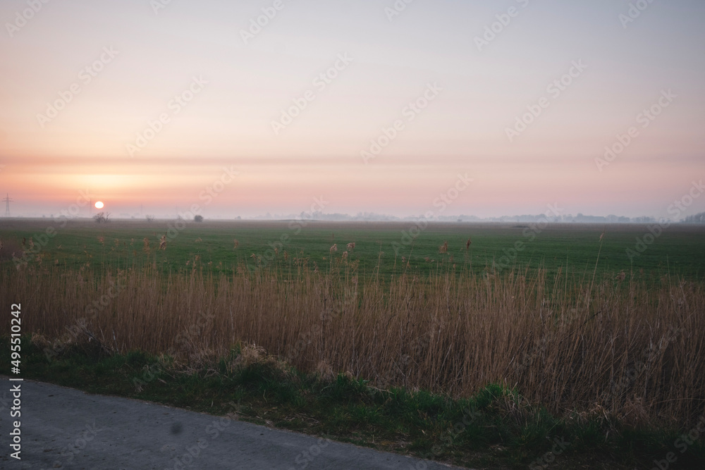 sunrise over the field