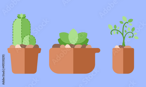 3 vetores de plantas em vasos. Suculenta e cacto.
