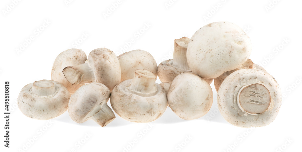mushrooms isolated on white background