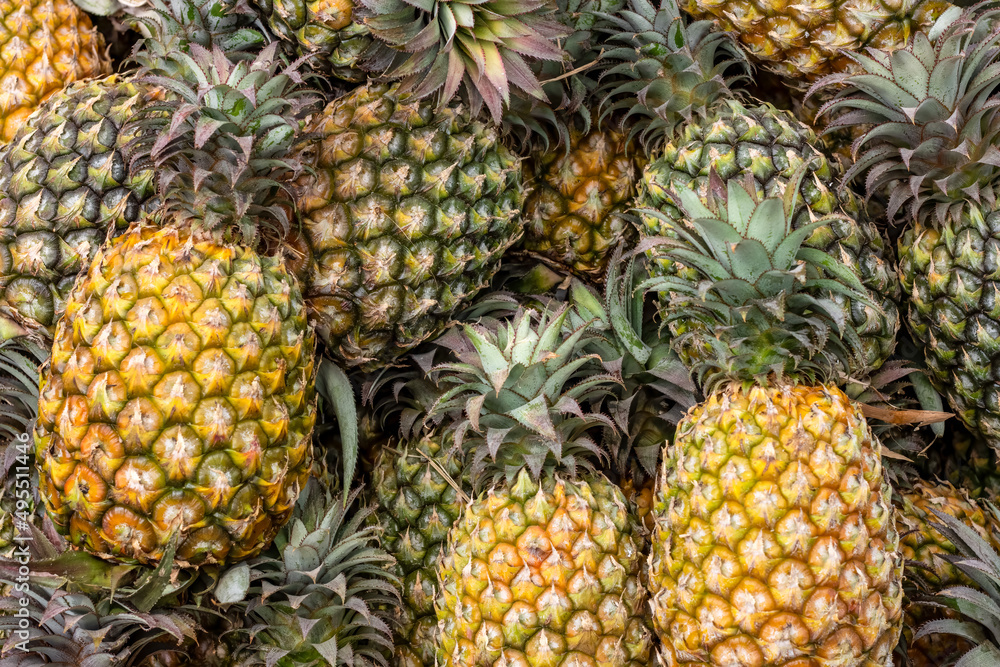 Close up shot of a pile of organic fresh pineapple on a fruit market Close up shot of a pile of organic fresh pineapple on a fruit market
