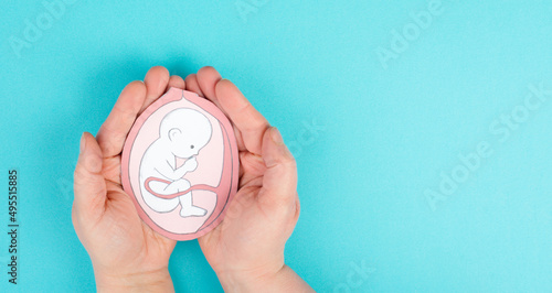 Unborn baby in the uterus, drawing of a fetus in the last trimester of pregnancy, childbirth and motherhood, gynecology health care