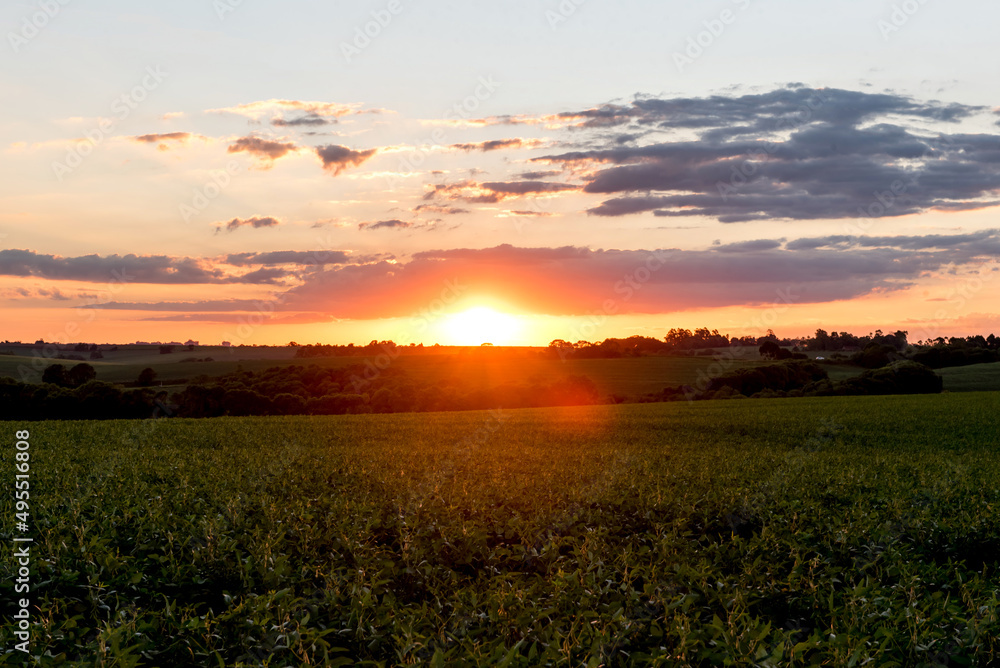 Beautiful sunset in the countryside in Brazil, orange sky, golden light