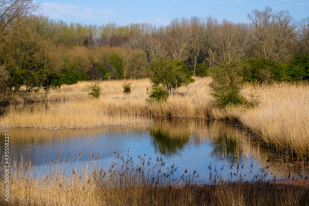 natuurpark Lelystad\\ nature park Lelystad natuurpark Lelystad\\ nature park Lelystad