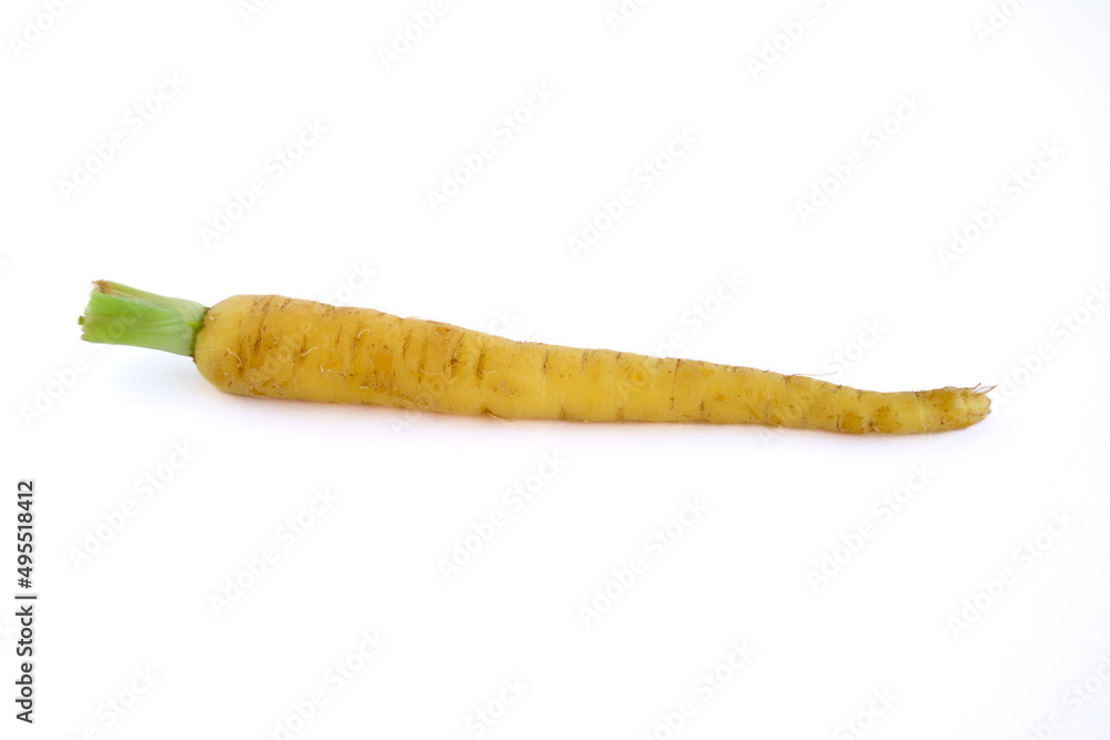 Baby carrot isolated on white background. Freshly picked baby carrot, organic harvested vegetables. Baby carrot isolated on white background. Freshly picked baby carrot, organic harvested vegetables.