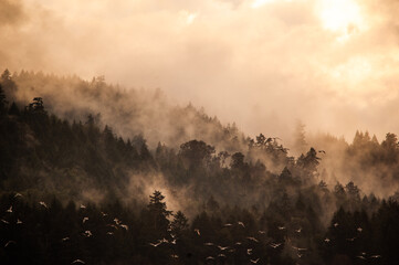 Wandcirkels Bruin Mist tussen de bergtoppen  © Neal Lally Photo