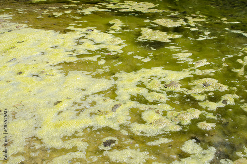 Low water level in the river and nitrate pollution because of the drought 