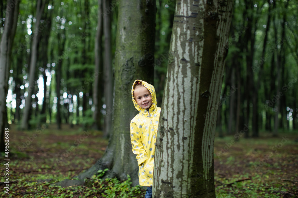 Little girl hiding behind a tree in the spring rainforest Little girl hiding behind a tree in the spring rainforest