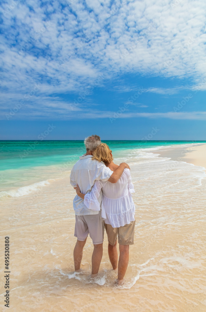 Senior couple embracing on shoreline of tropical beach