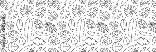 Palm leaf line vector seamless pattern, exotic floral background, tropical foliage leaves texture. Nature black and white outline print. Plant illustration