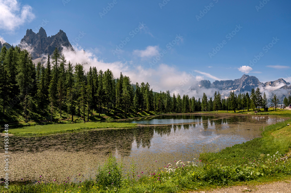 Sunny summer day with blue sky and green forest in foreground in Alps, Dolomites, near ''Lago di Misurina''