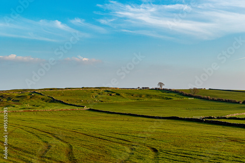 landscape with field