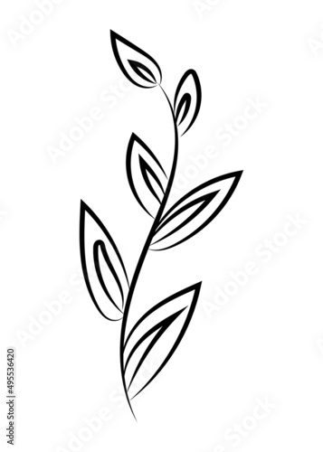 Vector linear simple botanical poster. Abstract art lines, wall paintings, flowers, leaves, plants. Modern design, doodle shapes, cover template, printing of T-shirts, postcards, banners and more.