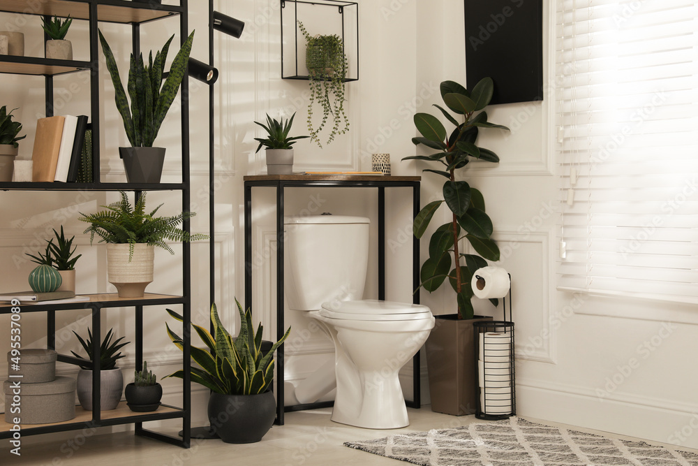 Stylish bathroom interior with toilet bowl and many beautiful houseplants