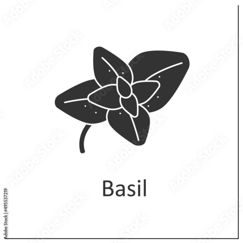 Basil glyph icon. Strong-smelling and strong-tasting herb for cooking. Additional flavor for food. Herbs and spices concept.Filled flat sign. Isolated silhouette vector illustration