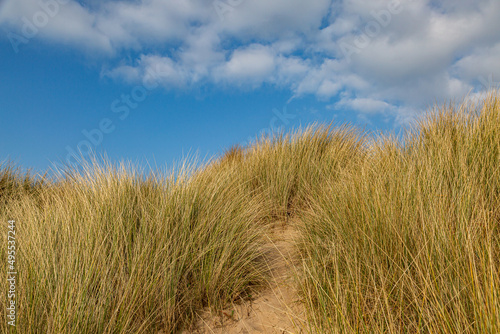 Marram grass covered sand dunes on a sunny morning, at Formby in Merseyside