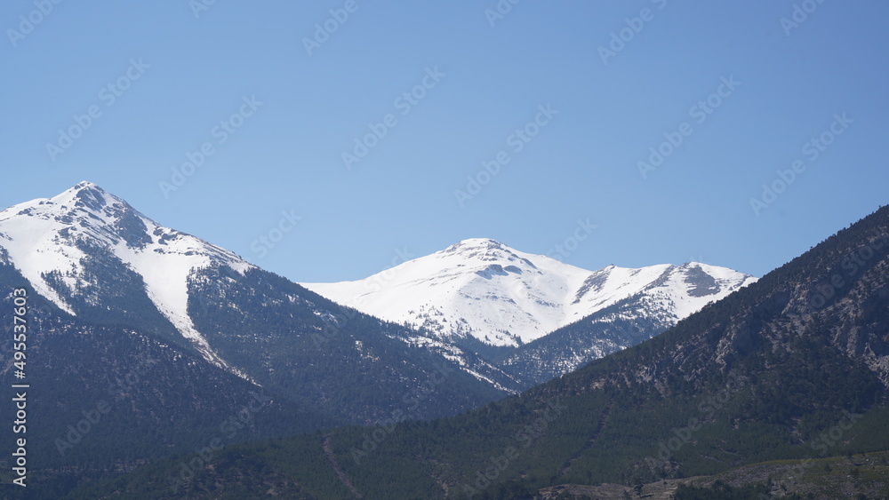 Green Forests and Snowy Mountain View Green Forests and Snowy Mountain View