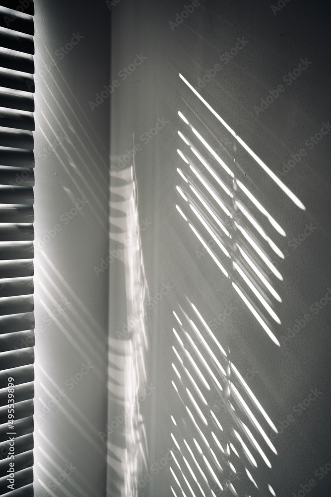 Obraz premium Shadows on wall. Abstract light, black shadow overlay from window on white texture wall. Sunlight architecture background. For product presentation, backdrop and mockup, summer seasonal concept.