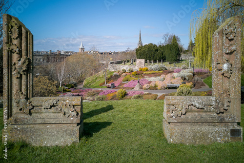 Mallais viewpoint with spring flowering heathers with Perth city in the background across the river tay