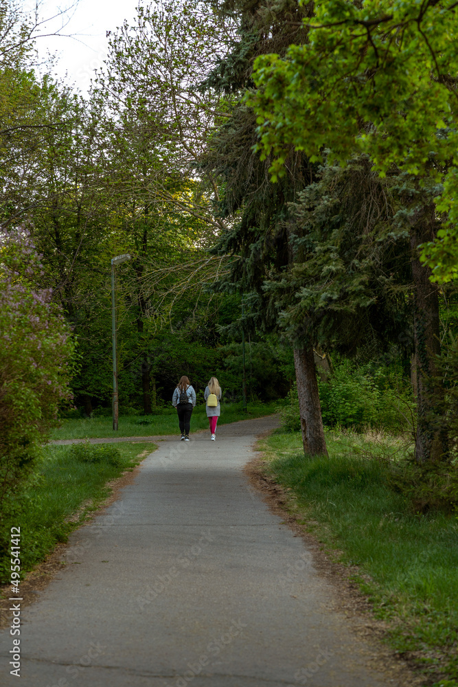 walk in the park, silhouettes of two women walk in the park, silhouettes of two women