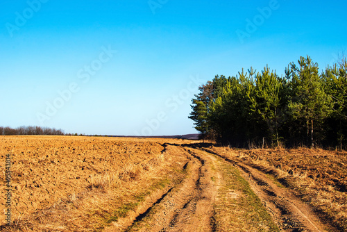 Countryside road and forest near cultivated agricultural land on a nice day during springtime with blue sky in the background