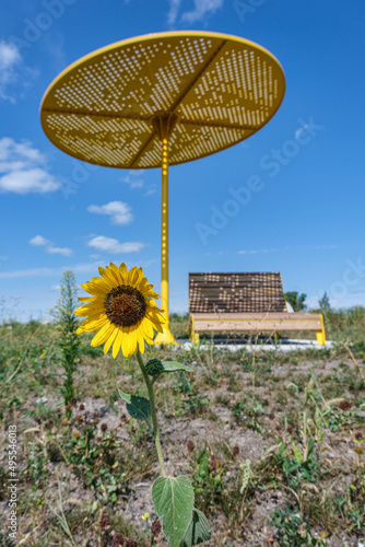фотографія Frédéric-Back Park new area inaugurated in summer 2021 (the Plaine Est) in Montr