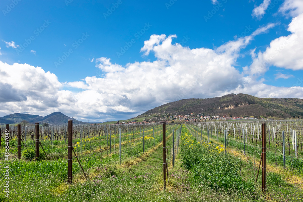 Blick über Weinfelder auf den Weinort Frankweiler und den Pfälzerwald
