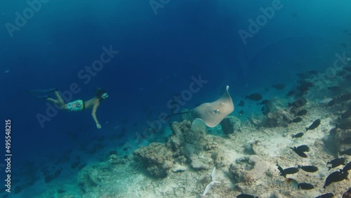 Wallpaper Mural Man swims and dives in the sea. Freediver swims underwater in Maldives and watches stingray swimming on the reef Torontodigital.ca