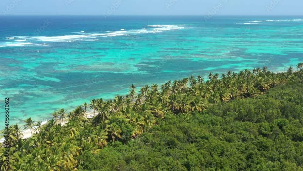 Wild tropical shore with coconut palm trees and turquoise caribbean sea. Beautiful landscape. Aerial view from drone Wild tropical shore with coconut palm trees and turquoise caribbean sea. Beautiful landscape. Aerial view from drone