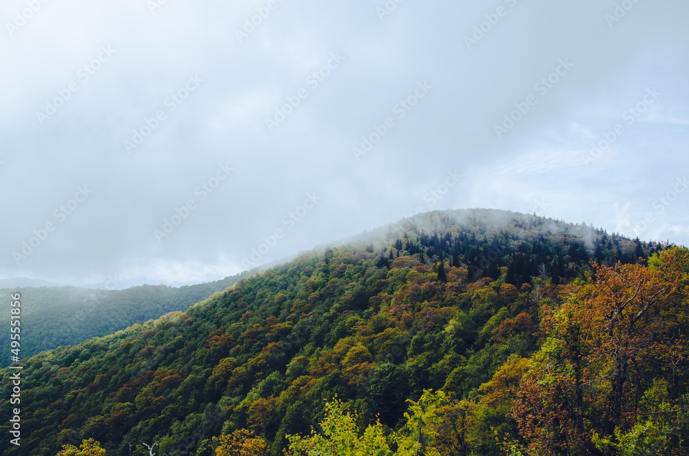 North Carolina mountains
