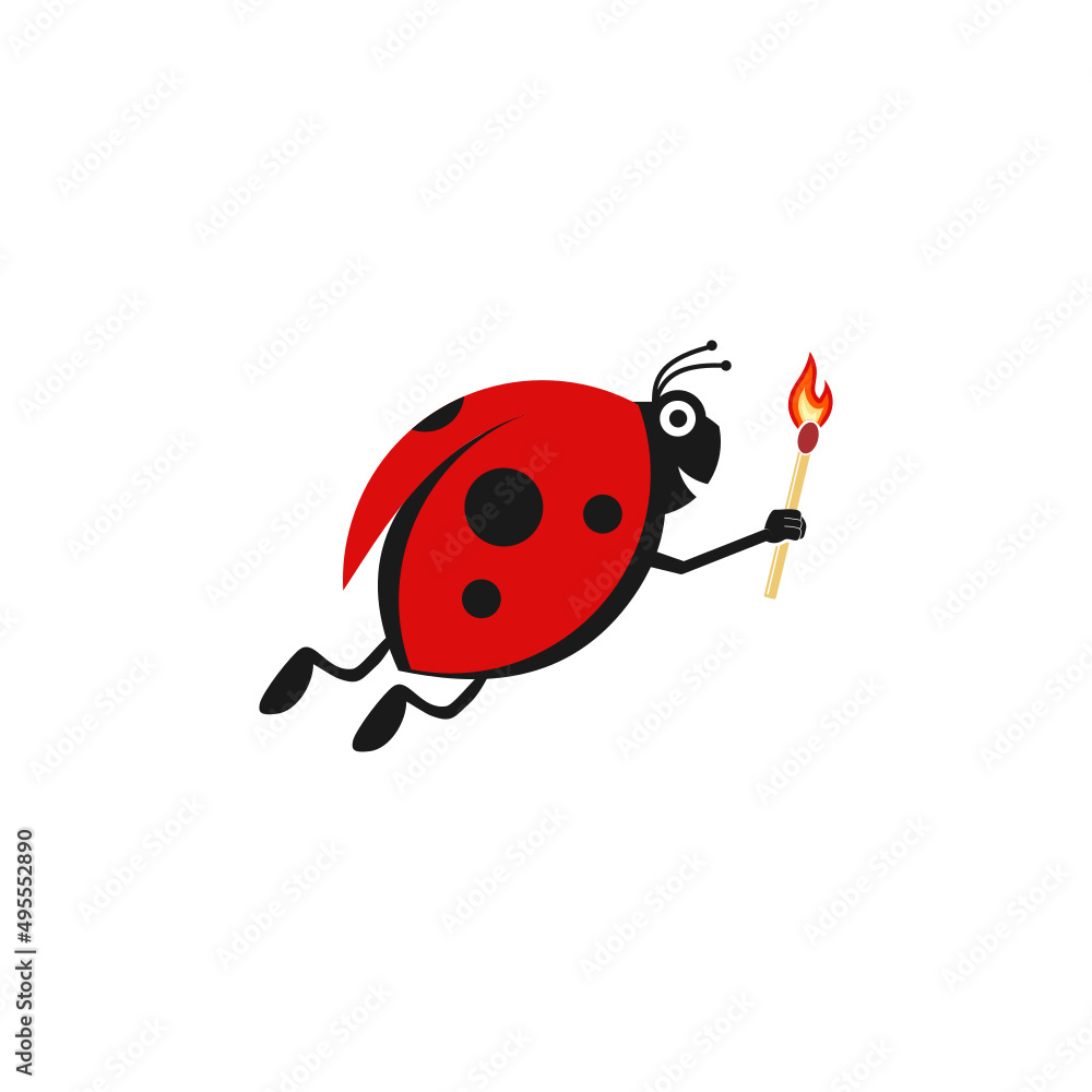 Obraz premium ladybug on white background