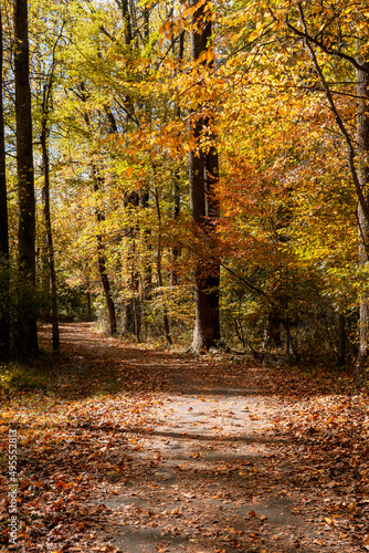 fall in Virginia