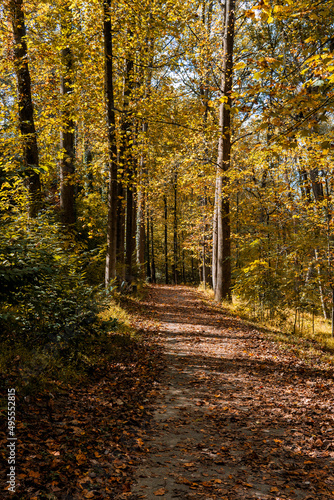 fall in Virginia