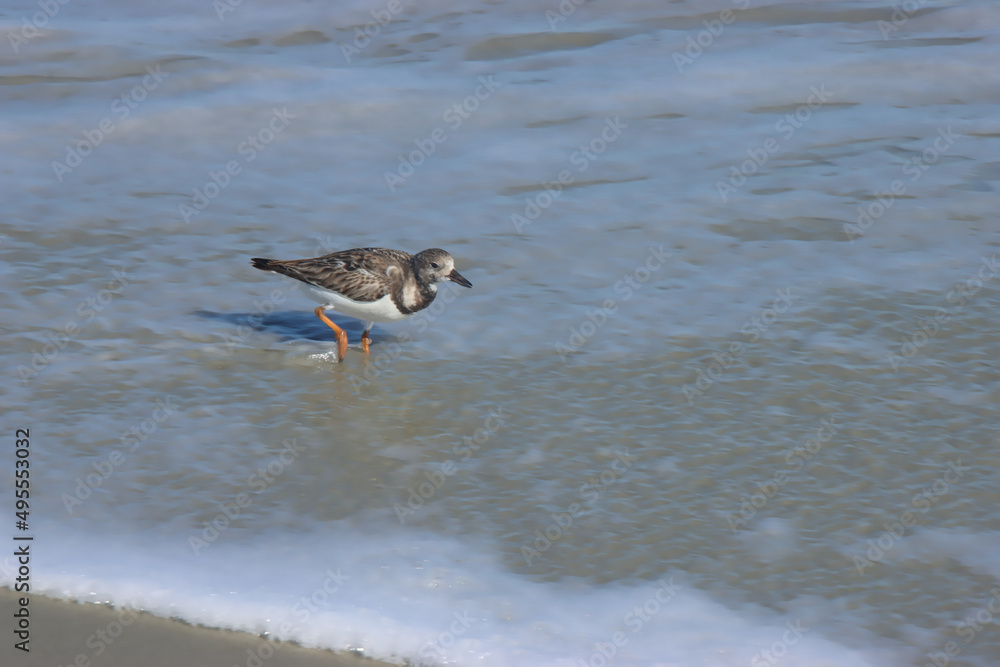Wet Feet Wet Feet