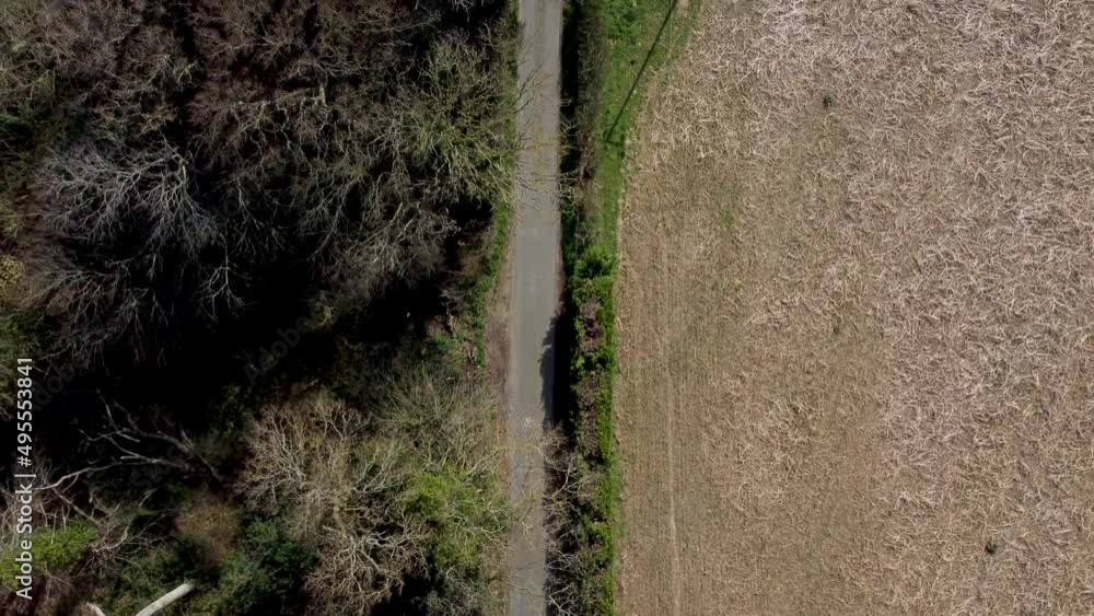 Slow Birdseye view from a drone showing a country road with field and trees Slow Birdseye view from a drone showing a country road with field and trees