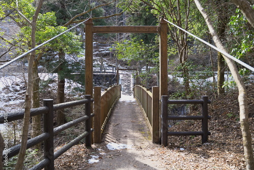 田舎にある小さな木製の橋の景色