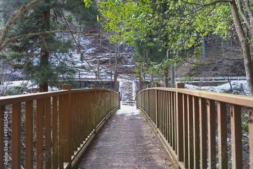 Fototapeta Naklejka Na Ścianę i Meble -  田舎にある小さな木製の橋の景色