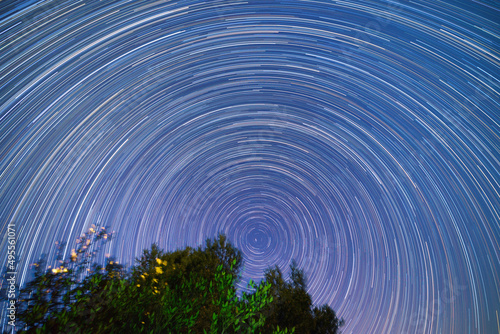 The stars move around the North Star. The treetops in the foreground. Star trails in the night sky in Tuscany, Italy 