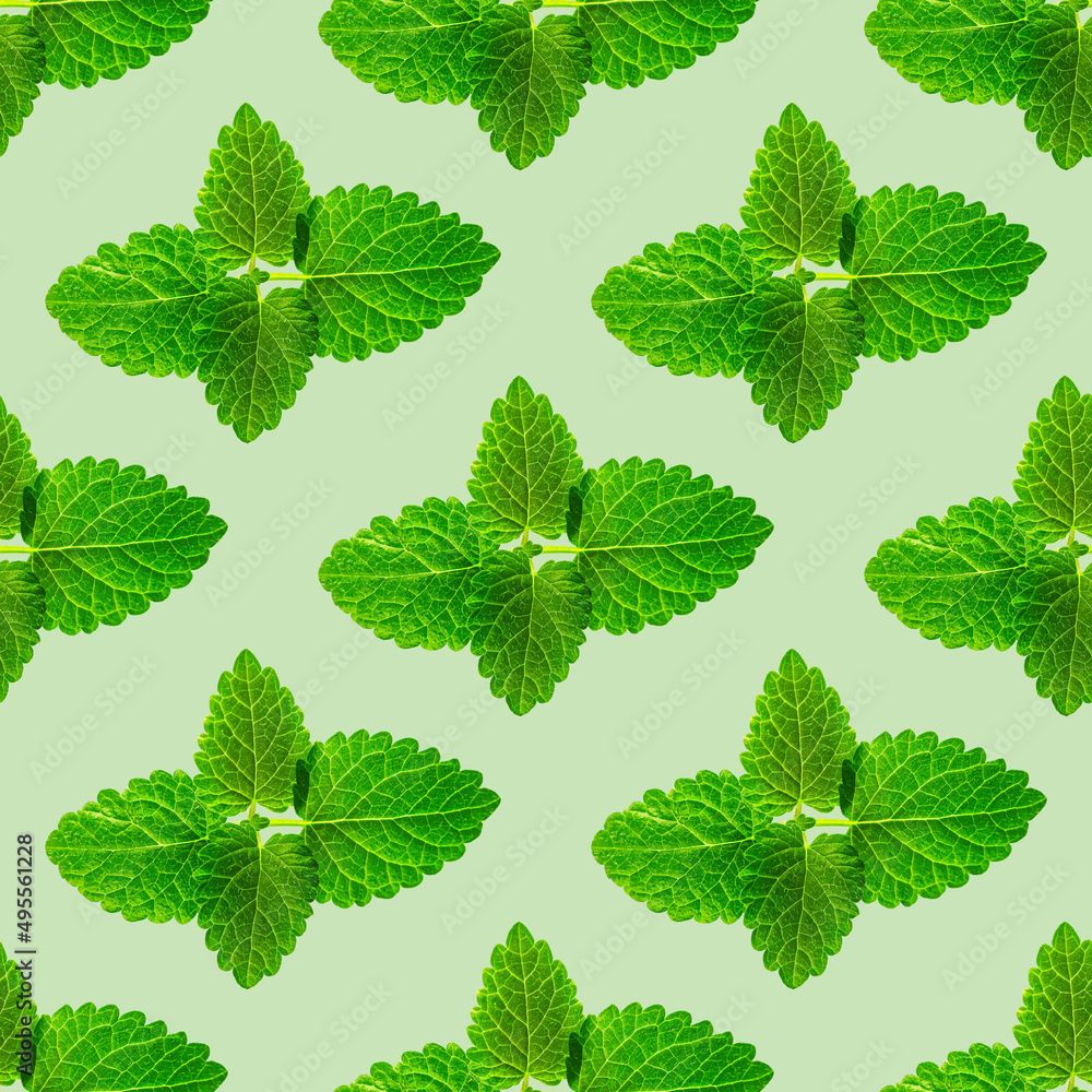 Seamless pattern of fresh mint leaves on green background for packaging design. peppermint abstract background. Seamless pattern of fresh mint leaves on green background for packaging design. peppermint abstract background.