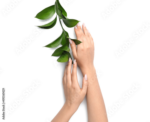 Female hands with beautiful manicure and plant branch on white background