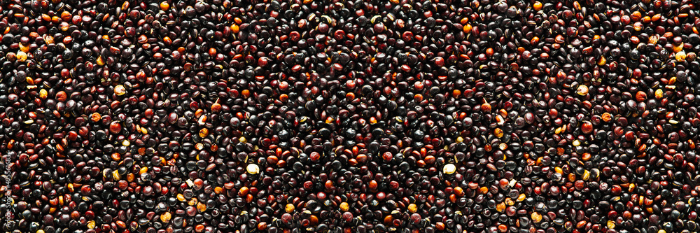 Chenopodium quinoa textured background of grains. Black Quinoa closeup of seed. banner Chenopodium quinoa textured background of grains. Black Quinoa closeup of seed. banner