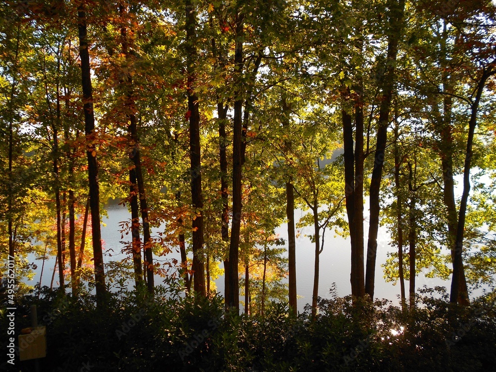 Obraz premium Stone Mountain Strolls