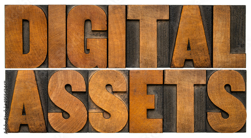 digital assets - isolated word abstract in vintage letterpress wood type  information  business and technology concept.