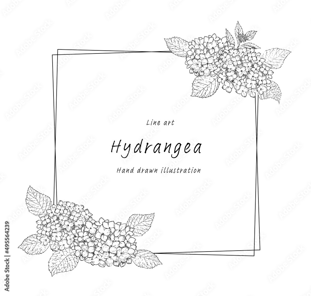 あじさいのフレーム ペン画 ラインアート モノクロ Stock ベクター Adobe Stock