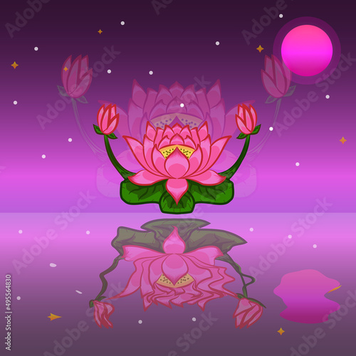 background lotus in the night