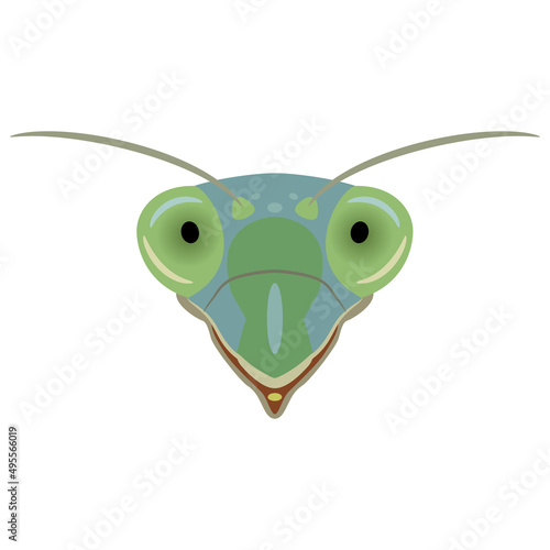 Head of a green praying mantis. Tenodera sinensis. Insect animal mask. Isolated vector illustration. Cartoon style.
