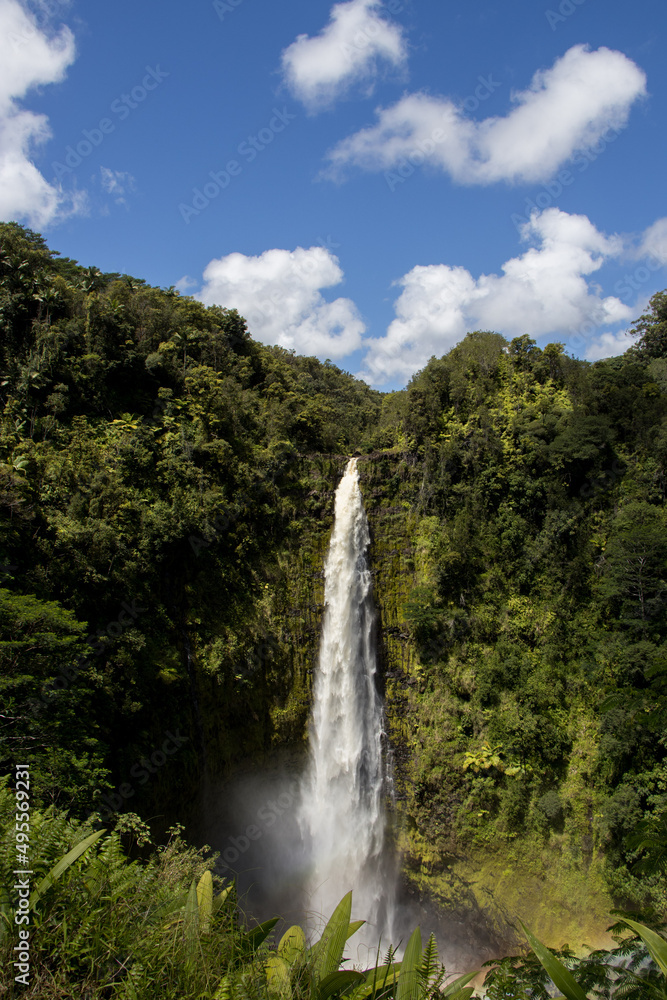Fototapeta premium Kahuna Falls, Hawaii