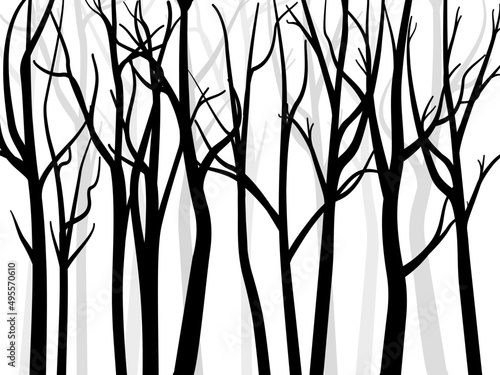 Bare tree silhouette background. tree without leaves vector