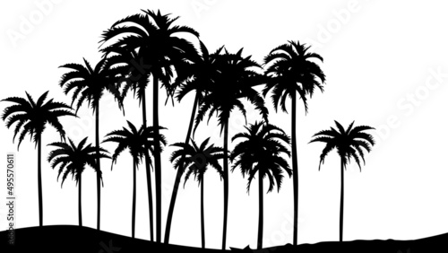 Silhouettes of palm trees. Vector design template. Isolated white background